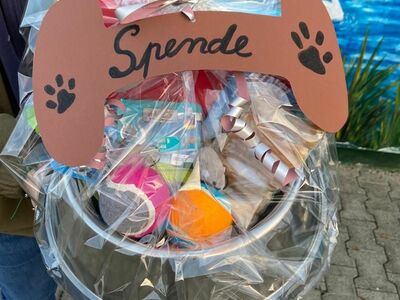 Klick zum Vergrößern..