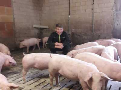 Klick zum Vergrößern..