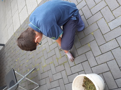 Klick zum Vergrößern..