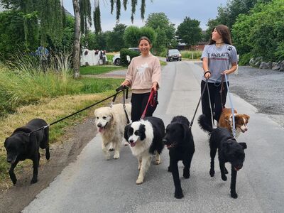 Klick zum Vergrößern..