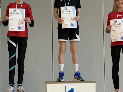 Klick zum Vergrößern..