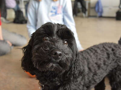 Klick zum Vergrößern..