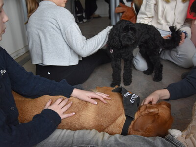 Klick zum Vergrößern..