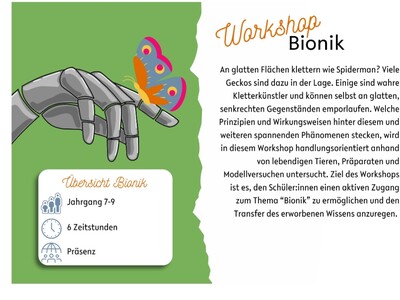 Klick zum Vergrößern..